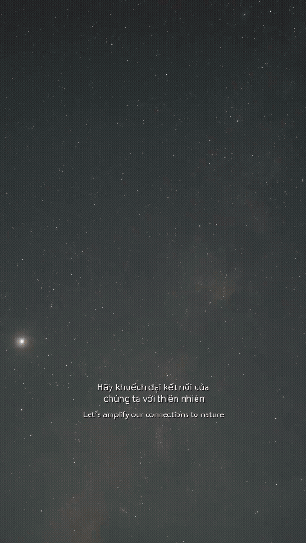 The Architecture of the Stardust: Consciousness as the Universe’s Sensate Edge —Erlism