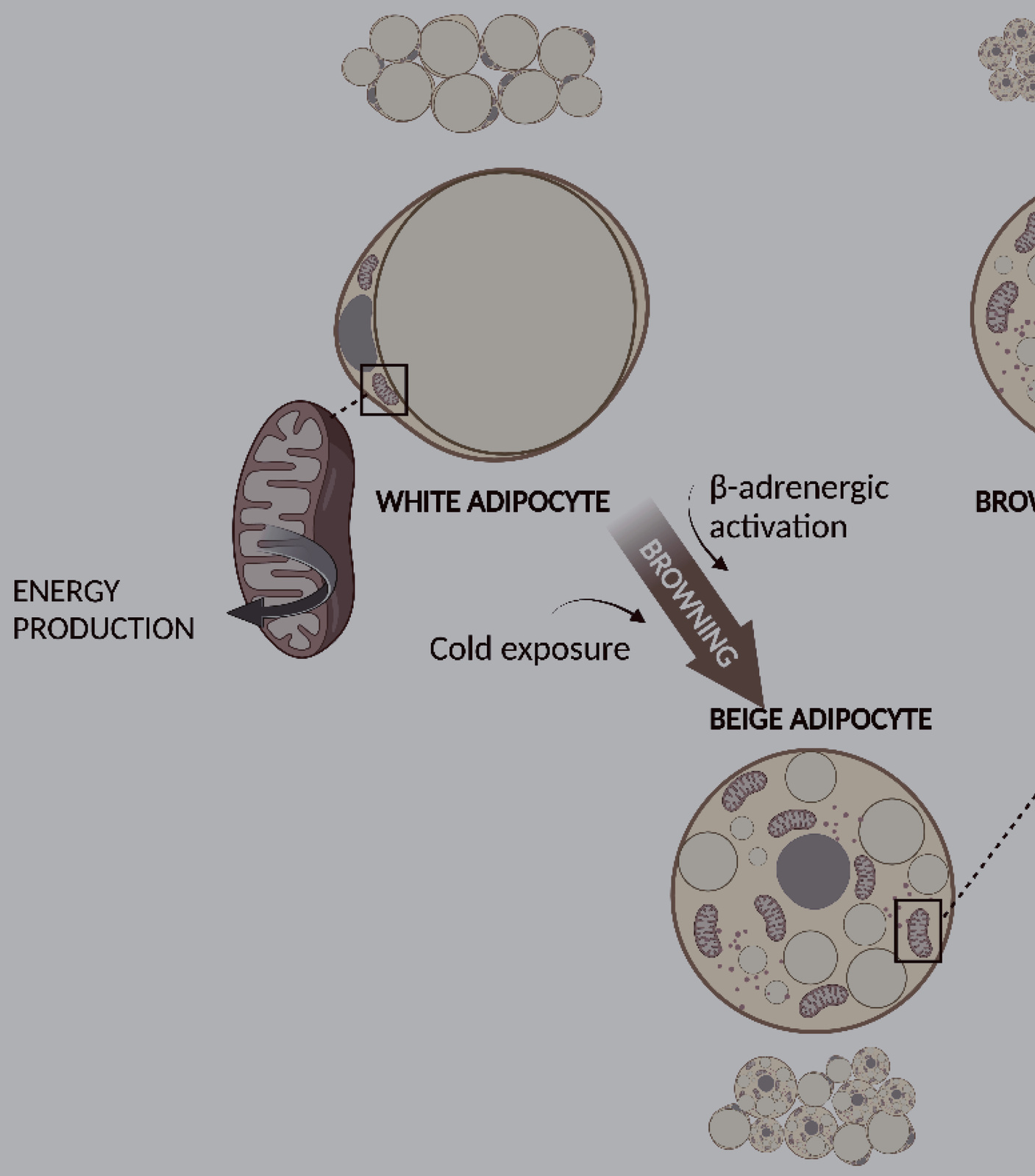 Khi Mất Cân Bằng Cũng Mang Trọng Lượng Khi Mất Cân Bằng Cũng Mang Trọng Lượng