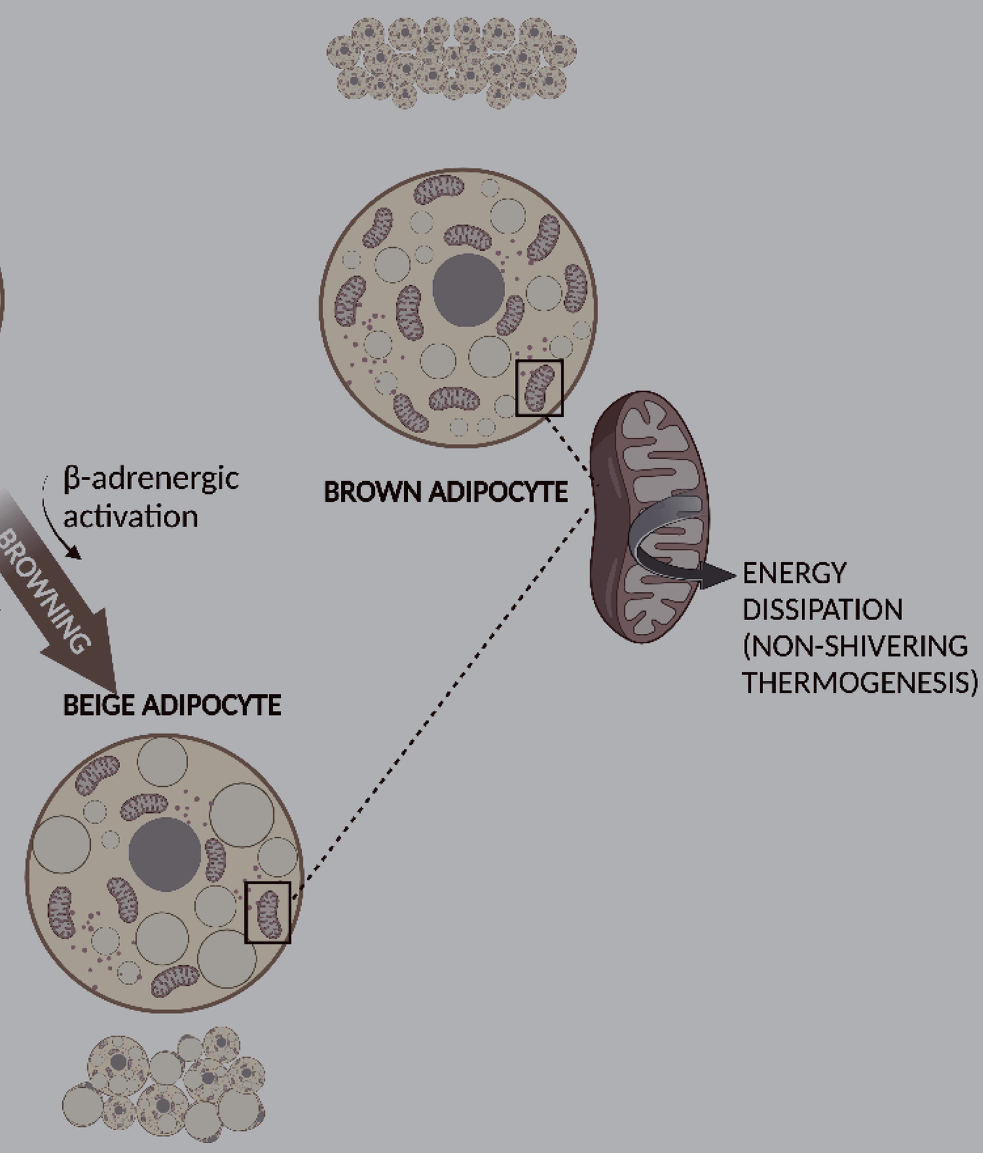 Khi Mất Cân Bằng Cũng Mang Trọng Lượng Khi Mất Cân Bằng Cũng Mang Trọng Lượng